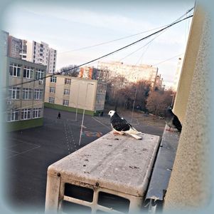 ♡ Day 88 ; 10.02.2025; :))
