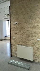 IMG20250305110955_01