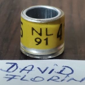 1991-Olanda