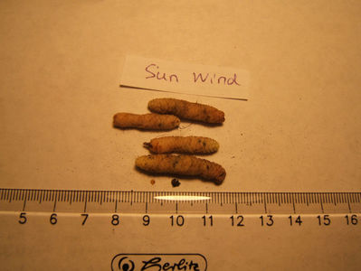 sun wind - mari