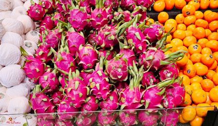 Dragon Fruit 2