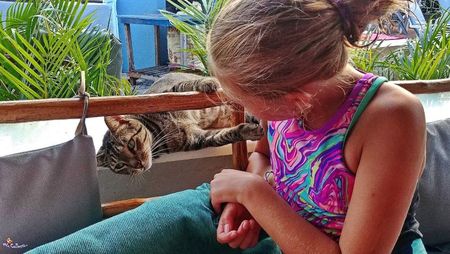 Cat Love 1