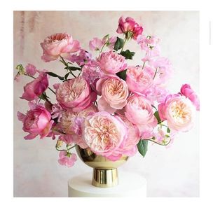 wish list constance rose