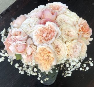 Rose de Tolbiac, Mme Anisette