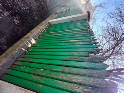 Rupt și de pisici.....