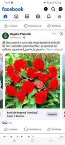 Screenshot_20250328_142140_Facebook