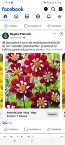 Screenshot_20250328_142457_Facebook