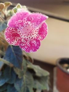 thumbnail (3)