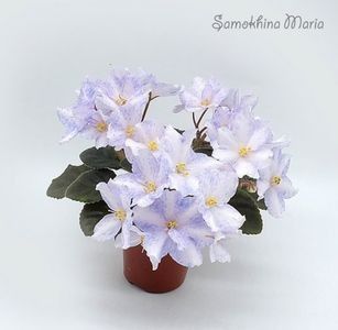 N-Severina