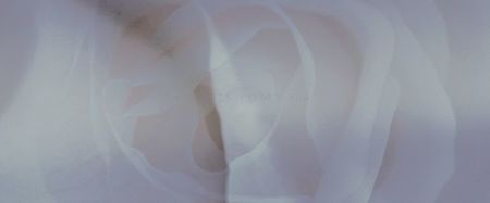 ◜ ཐི ℛọṃạṇṭịc̣ạḷḷyꪗọụṛṣ ཋྀ ◝