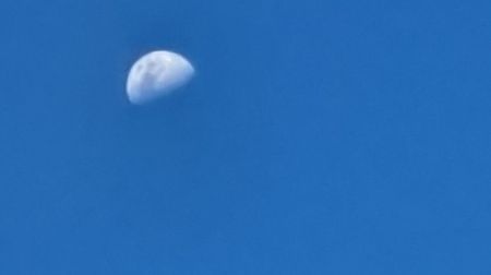 20250307_172843 Luna
