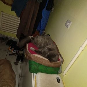 .trashed-1745766928-20250321_195050