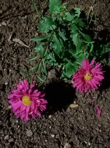 Img.2024.10.12