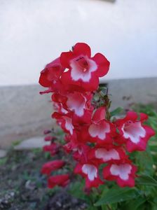 Img.2024.10.29