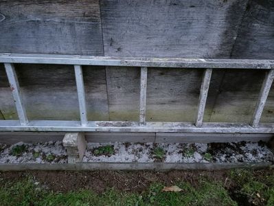 Img.2024.11.02