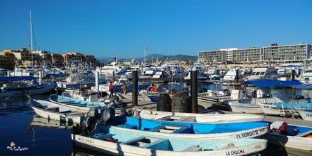 Mexic - Cabo San Lucas 2