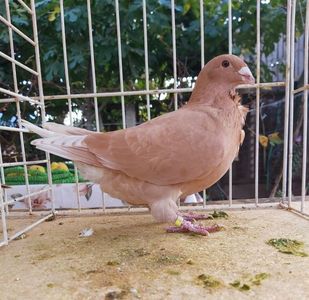 IMG-20231028-WA0005