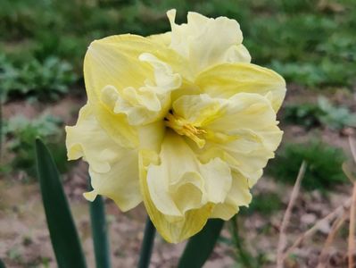 Sunny side up - dupa 10 zile