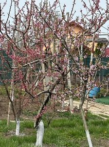 IMG-20250417-WA0090