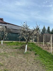 IMG-20250417-WA0104