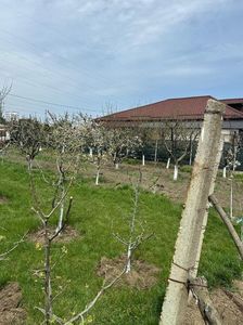 IMG-20250417-WA0110