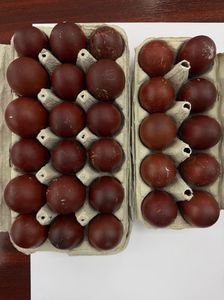 Oua Marans Negru Aramiu