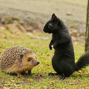 Meeting on the grass