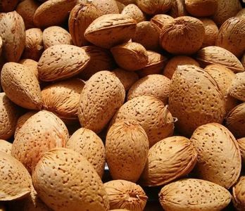 Migdal fruct