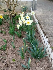 Img.2025.03.21