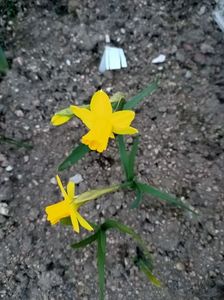 Img.2025.03.21