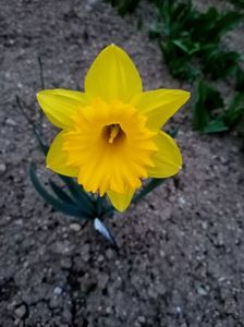 Img.2025.03.21