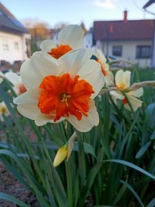 Img.2025.04.02