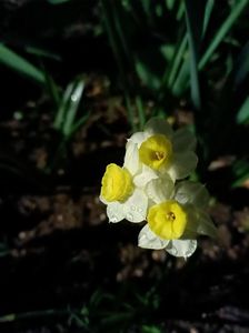 Img.2025.04.06
