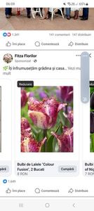 Screenshot_20250430_060912_Facebook