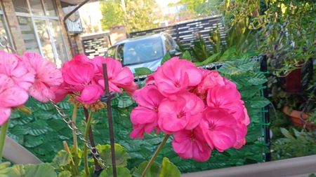 IMG-20250501-WA0015