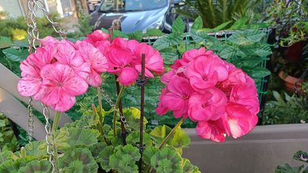 IMG-20250501-WA0014