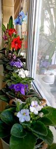 IMG-20250409-WA0011