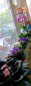 IMG-20250409-WA0010