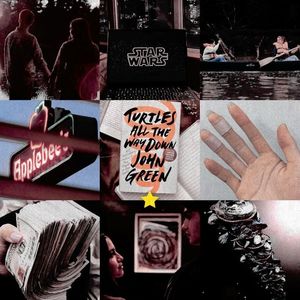 〝Tuɾtles All tɦe Wɑʮ Dσwƞ〞　　　　　　　　　　　　　　▸ ᵇʸ˓John Green˒