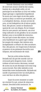 Screenshot_20250511_054647_Wattpad