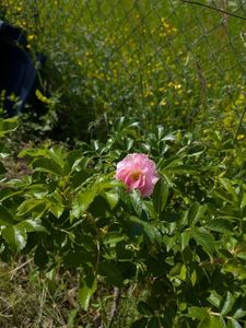 PXL_20250510_120957807