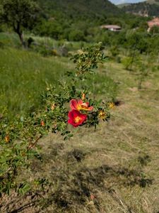 PXL_20250510_115916721