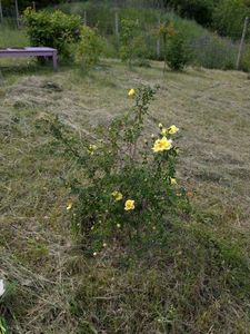 PXL_20250510_115617762