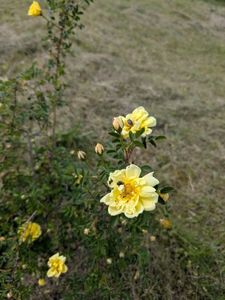 PXL_20250510_115626905