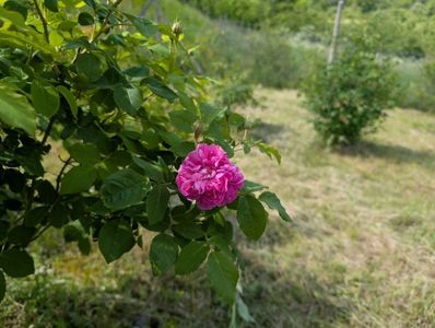 PXL_20250510_115743242