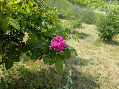 PXL_20250510_115758906
