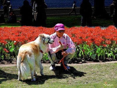 Doggie in park 3