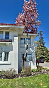 Spring time in Ottawa 2