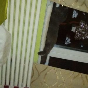 .trashed-1739357640-20250112_213354