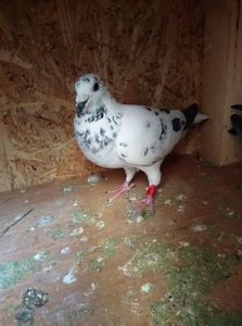 5ed4861b8fa73be23a850e5957144613